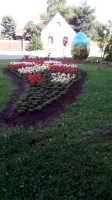 IMG-de16aa992db12a20ad6b6f9b55441b41-V