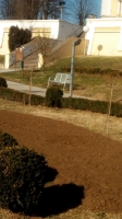 IMG-7f26c6cfb23ca1c3428e1d5e7ad1709b-V