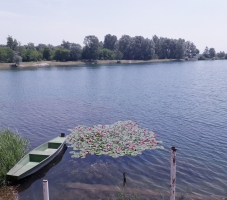 Naslovna