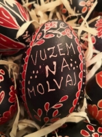 Izlozba molvarsko proljece 8