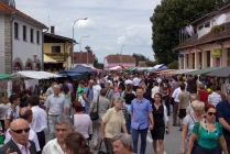 IMG 8942