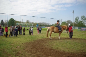 Skola jahanja u Molvama